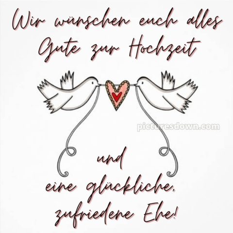 Glückwünsche zur hochzeit sohn und schwiegertochter bild Vögel kostenlos