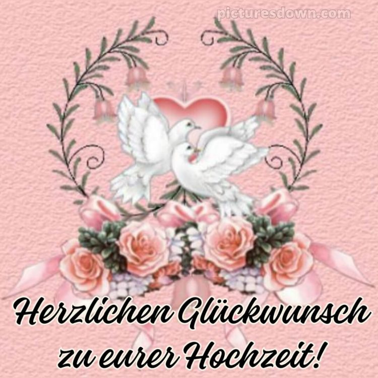Glückwünsche zur hochzeit sohn und schwiegertochter bild zwei Vögel kostenlos