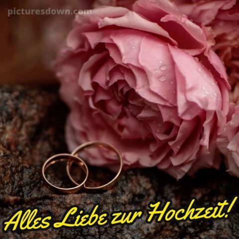 Glückwünsche zur hochzeit sohn und schwiegertochter bild Blume kostenlos