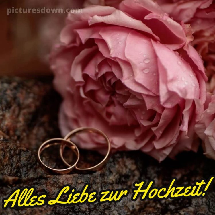 Glückwünsche zur hochzeit sohn und schwiegertochter bild Blume kostenlos