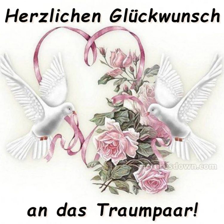 Glückwünsche zur hochzeit sohn und schwiegertochter bild Tauben kostenlos