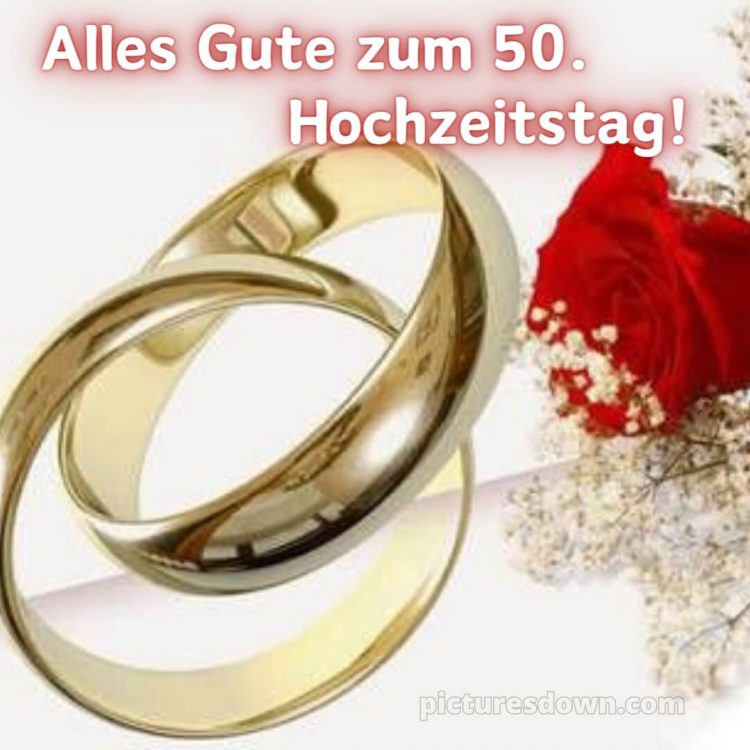 Goldene hochzeit glückwünsche bild Rose kostenlos