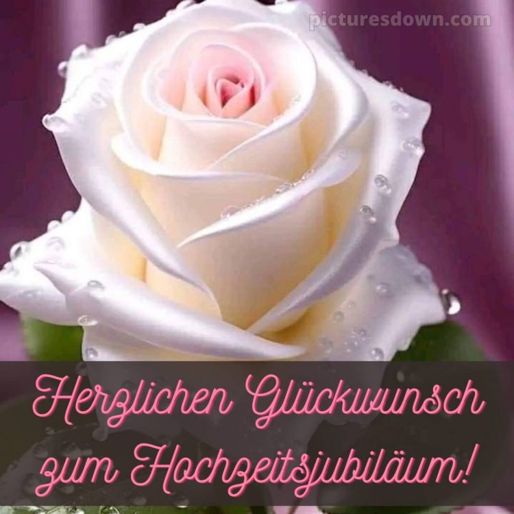 Goldene hochzeit glückwünsche kurz bild Rose kostenlos