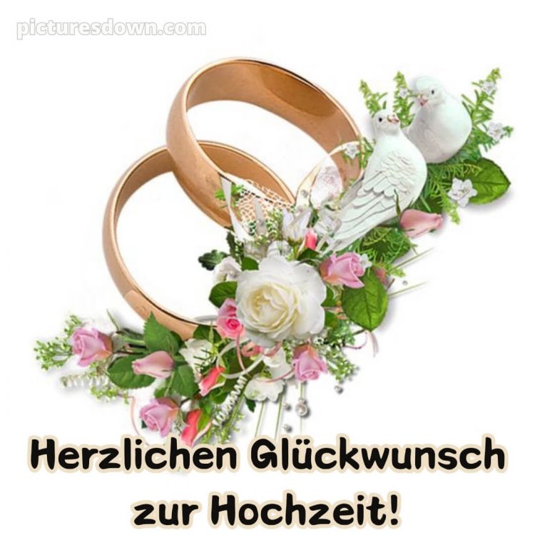 Hochzeit glückwünsche kurz bild Tauben kostenlos