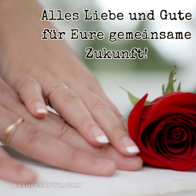 Kurze glückwünsche zur hochzeit bild Rose kostenlos