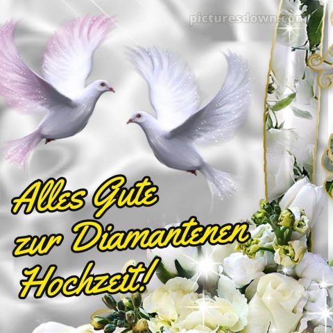 Kurze sprüche 60 hochzeitstag glückwünsche diamanthochzeit diamantene hochzeit bild Blumen kostenlos