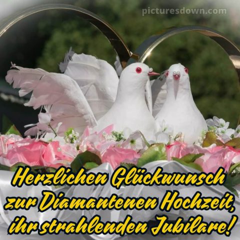 Kurze sprüche 60 hochzeitstag glückwünsche diamanthochzeit diamantene hochzeit bild weiße Tauben kostenlos