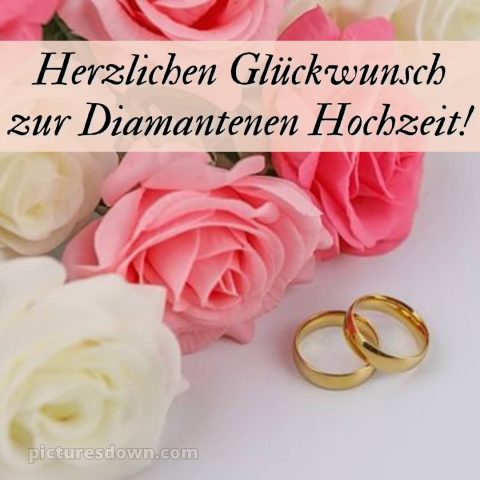 Kurze sprüche 60 hochzeitstag glückwünsche diamanthochzeit diamantene hochzeit bild rosa Rosen kostenlos