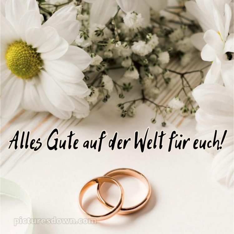 Modern glückwünsche zur hochzeit bilder bild Gänseblümchen kostenlos