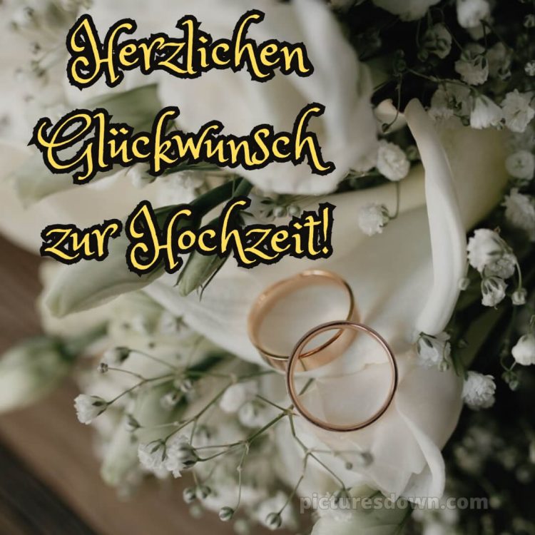 Persönliche glückwünsche zur hochzeit von den eltern bild weiße Rosen kostenlos