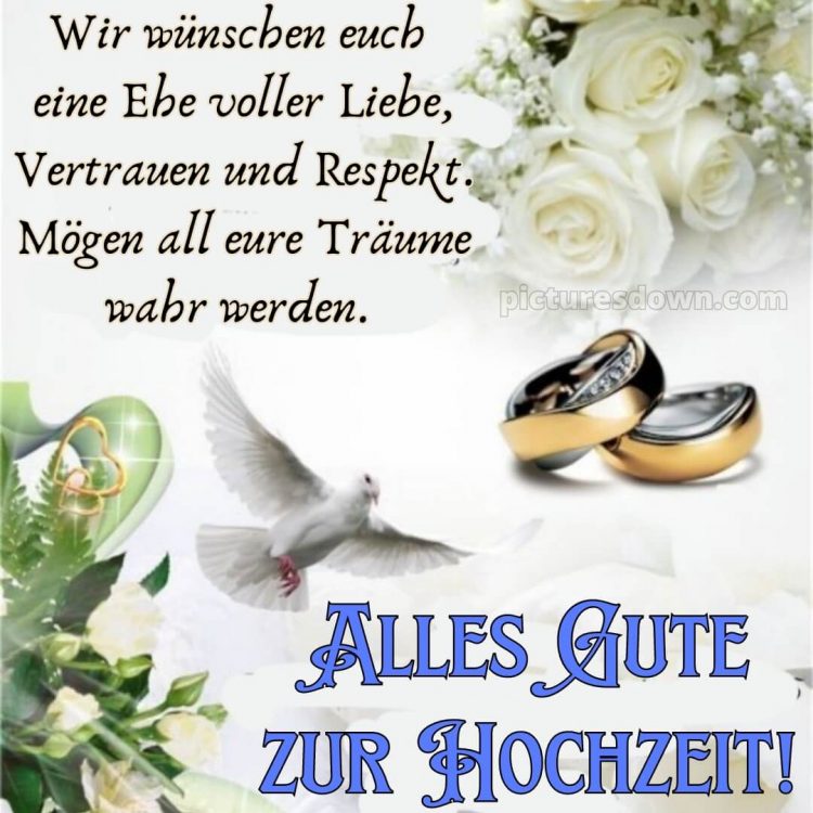 Persönliche glückwünsche zur hochzeit von den eltern bild Taube kostenlos