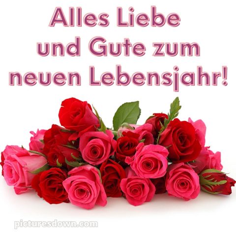 Geburtstagsbilder whatsapp glückwünsche zum geburtstag bild Rosen kostenlos