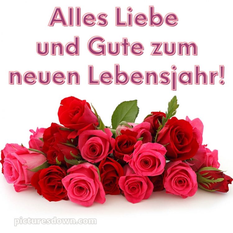 Geburtstagsbilder whatsapp glückwünsche zum geburtstag bild Rosen kostenlos