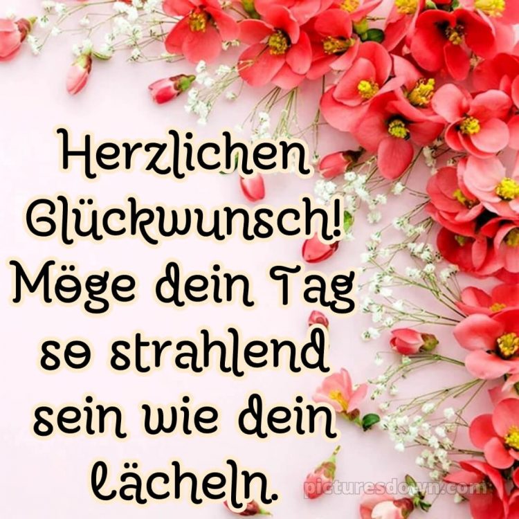 Geburtstagsbilder whatsapp glückwünsche zum geburtstag bild Blütenblatt kostenlos