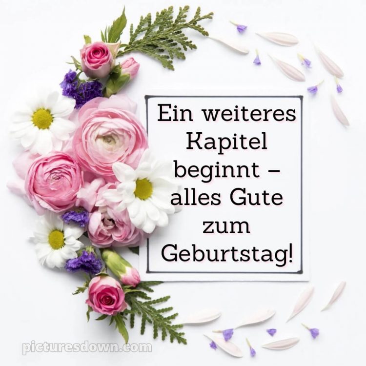 Geburtstagsbilder whatsapp glückwünsche zum geburtstag bild Chrysanthemen kostenlos