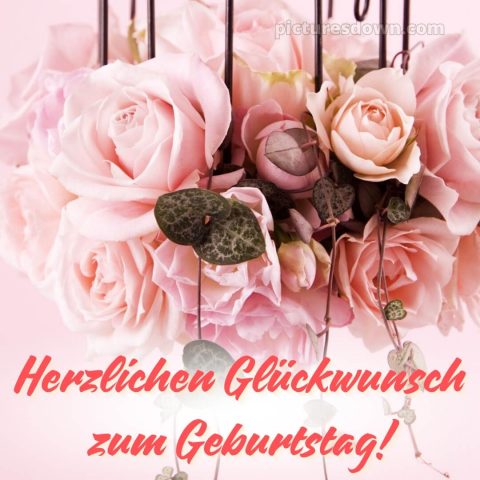 Geburtstagsbilder whatsapp glückwünsche zum geburtstag bild Strauß kostenlos