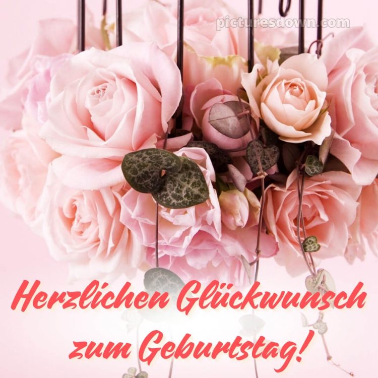 Geburtstagsbilder whatsapp glückwünsche zum geburtstag bild Strauß kostenlos