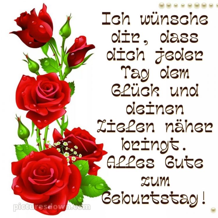 Geburtstagsbilder whatsapp glückwünsche zum geburtstag bild rote Rosen kostenlos