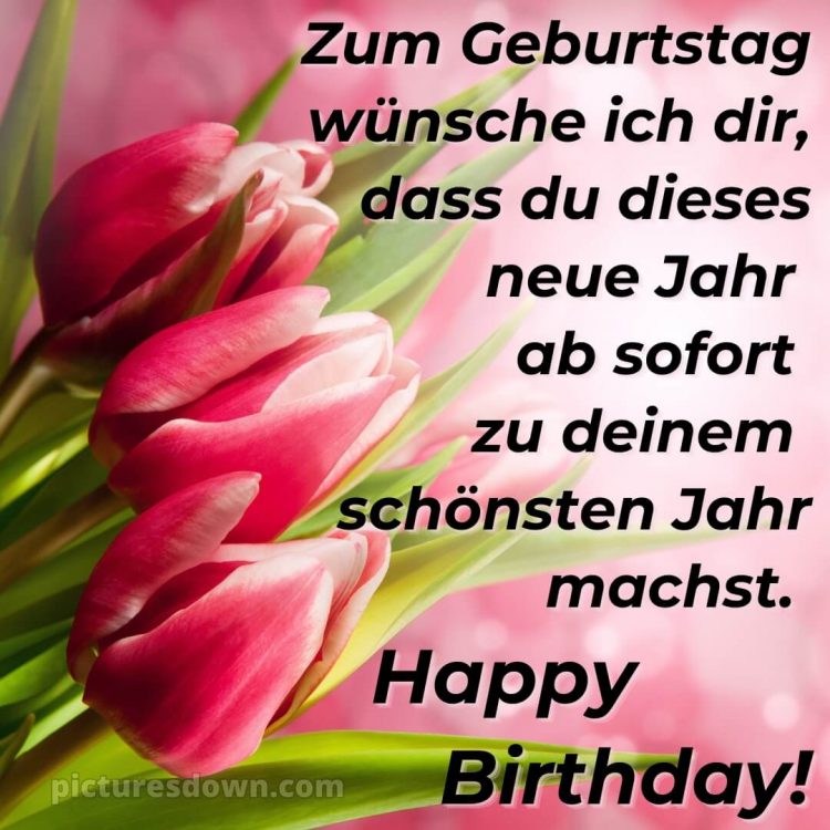 Glückwünsche zum geburtstag whatsapp bild drei Tulpen kostenlos