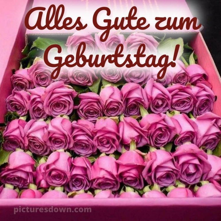Glückwünsche zum geburtstag whatsapp bild viele Rosen kostenlos