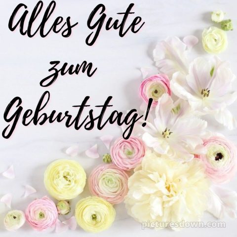 Glückwünsche zum geburtstag whatsapp bild zarte Blüten kostenlos