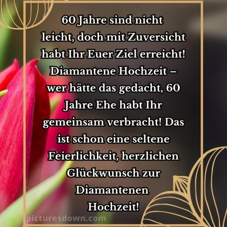 Glückwünsche zur diamantenen hochzeit von nachbarn bild Tulpe kostenlos