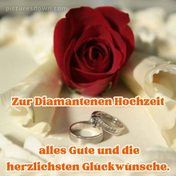 Glückwünsche zur diamantenen hochzeit von nachbarn bild Rose und Ringe kostenlos