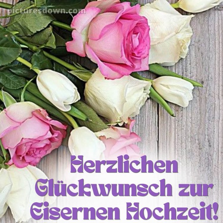 Glückwünsche zur eisernen hochzeit kostenlos bild Rosen kostenlos