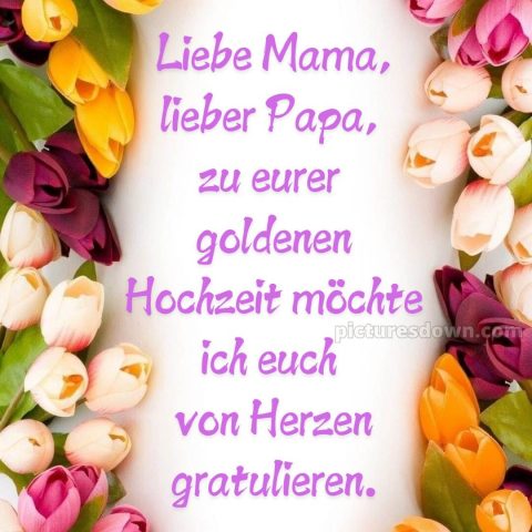 Glückwünsche zur goldenen hochzeit der eltern bild Tulpen kostenlos