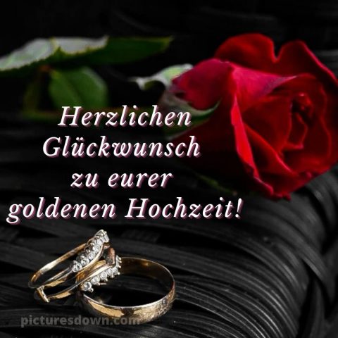 Glückwünsche zur goldenen hochzeit der eltern bild rote Rose kostenlos
