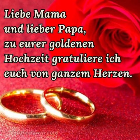 Glückwünsche zur goldenen hochzeit der eltern bild zwei Ringe kostenlos