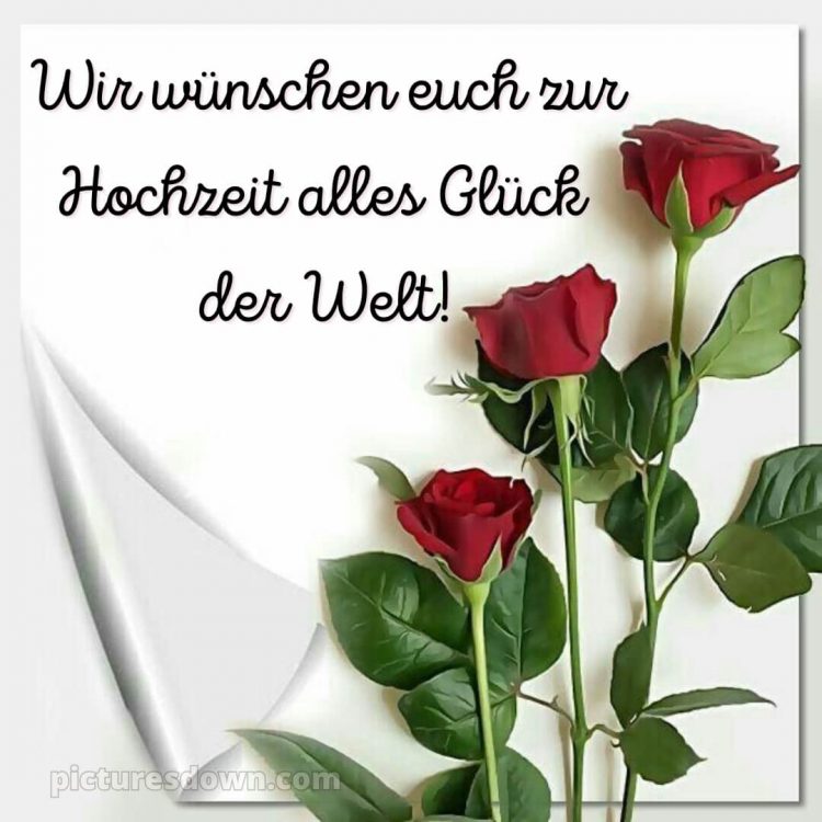 Glückwünsche zur hochzeit nach langer beziehung bild rote Rosen kostenlos