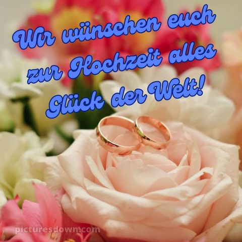Glückwünsche zur hochzeit nach langer beziehung bild Ringe kostenlos