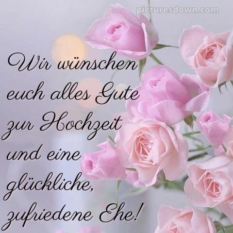 Glückwünsche zur hochzeit whatsapp bild rosa Blumen kostenlos