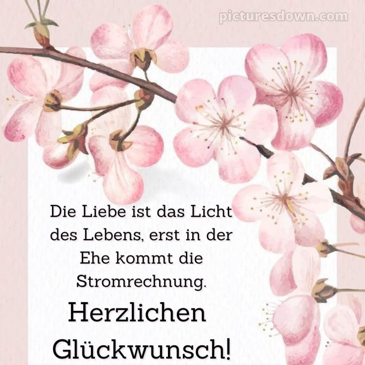 Lustige glückwünsche zur hochzeit bild rosa Blumen kostenlos
