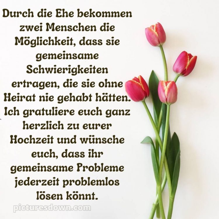 Lustige glückwünsche zur hochzeit bild Tulpen kostenlos
