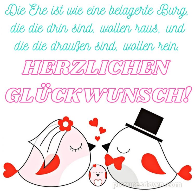 Lustige glückwünsche zur hochzeit bild Vögel kostenlos