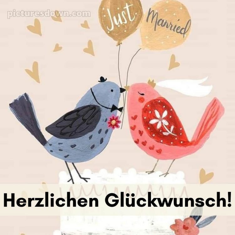 Lustige glückwünsche zur hochzeit bild zwei Vögel kostenlos