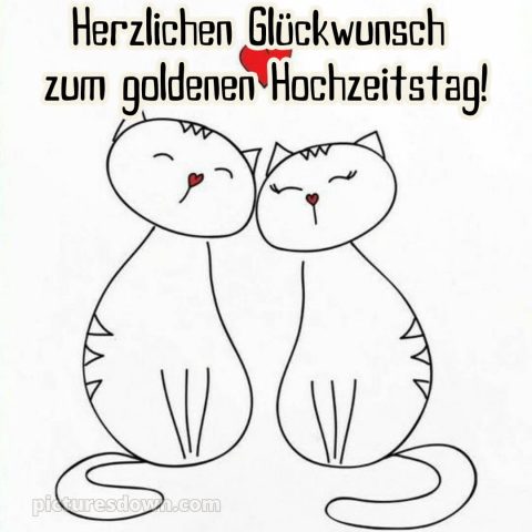Originell glückwünsche zur goldenen hochzeit lustig bild Katzen kostenlos