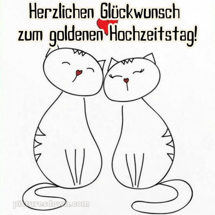 Originell glückwünsche zur goldenen hochzeit lustig bild Katzen kostenlos