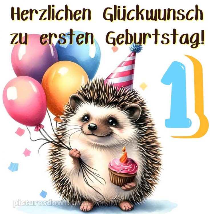 Whatsapp glückwünsche zum 1. geburtstag bild Igel kostenlos