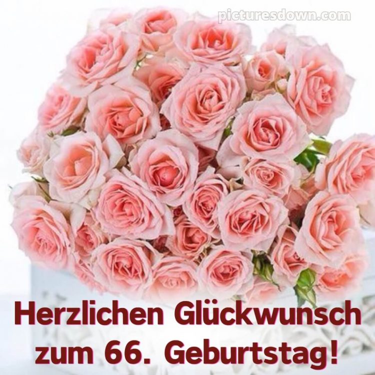 Whatsapp glückwünsche zum 66. geburtstag bild rosafarbene Rosen kostenlos