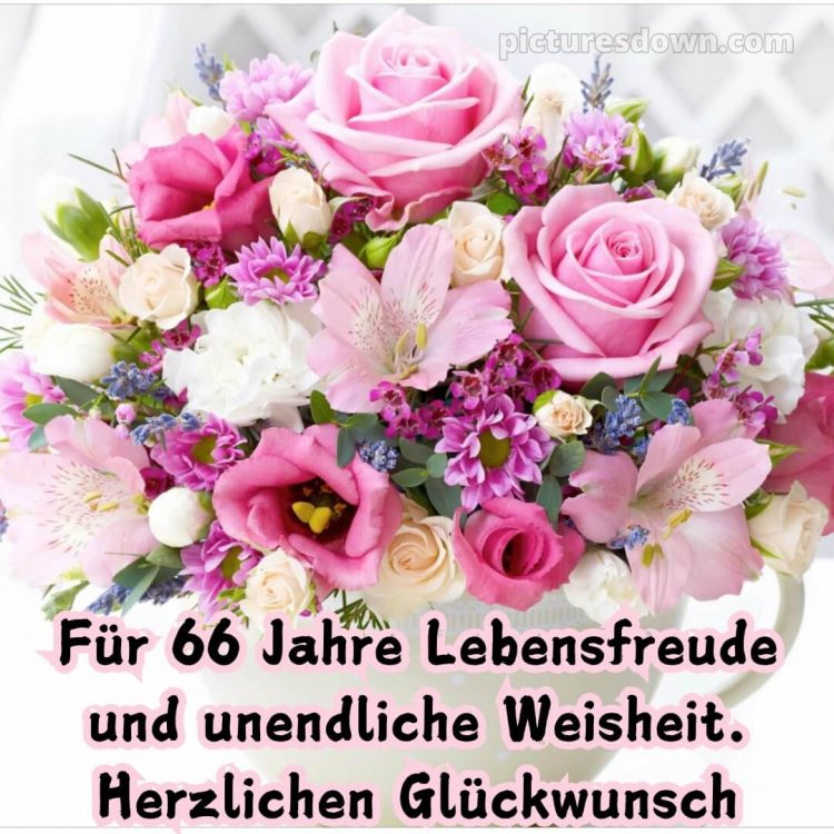 Whatsapp glückwünsche zum 66. geburtstag bild Strauß kostenlos