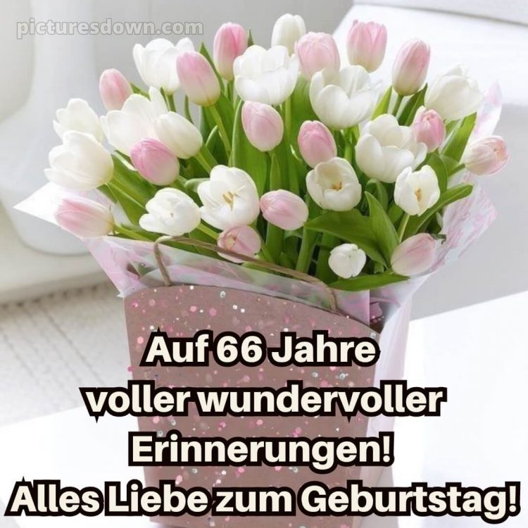 Whatsapp glückwünsche zum 66. geburtstag bild Tulpen kostenlos