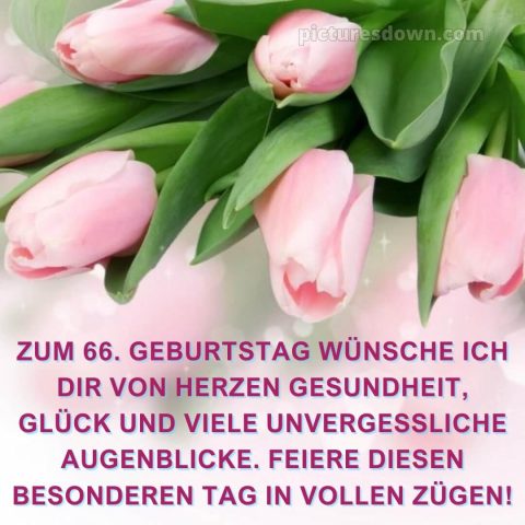 Whatsapp glückwünsche zum 66. geburtstag bild zarte Tulpen kostenlos