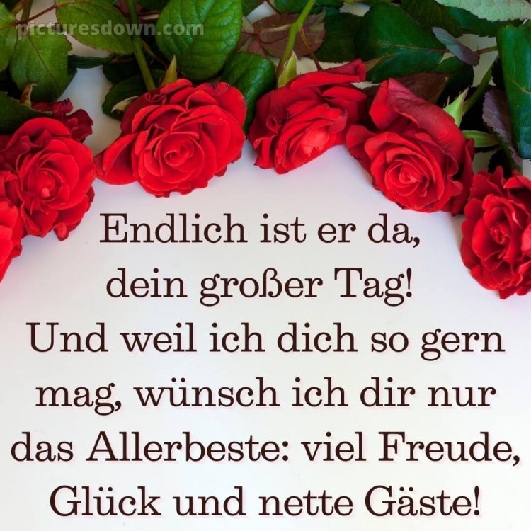 Whatsapp glückwünsche zum geburtstag bild Rosen kostenlos