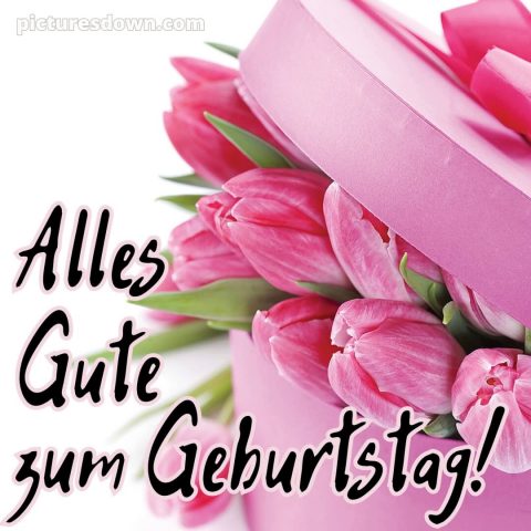 Whatsapp glückwünsche zum geburtstag bild Tulpen kostenlos