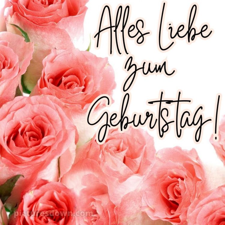 Whatsapp glückwünsche zum geburtstag bild orangefarbene Rosen kostenlos