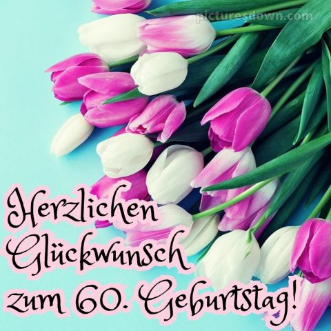 Whatsapp originelle herzlich glückwünsche zum 60 geburtstag bild Tulpen kostenlos