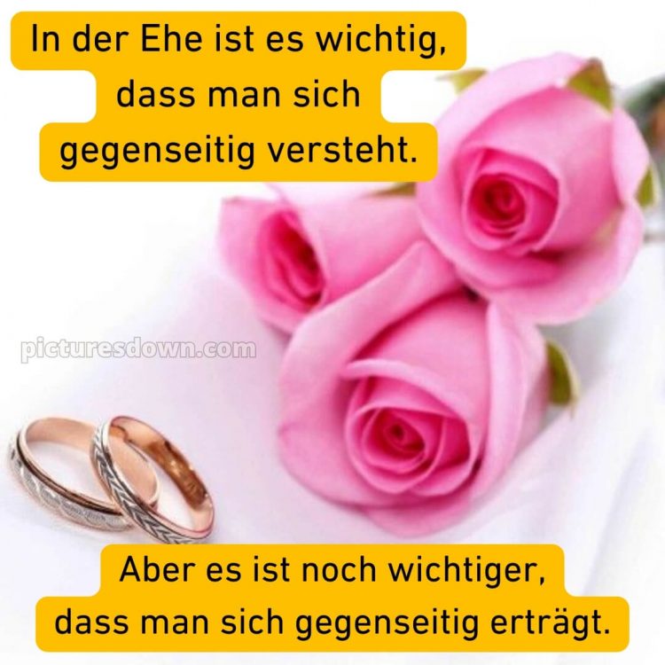 Zitate witzig originelle glückwünsche zur hochzeit bild drei Rosen kostenlos